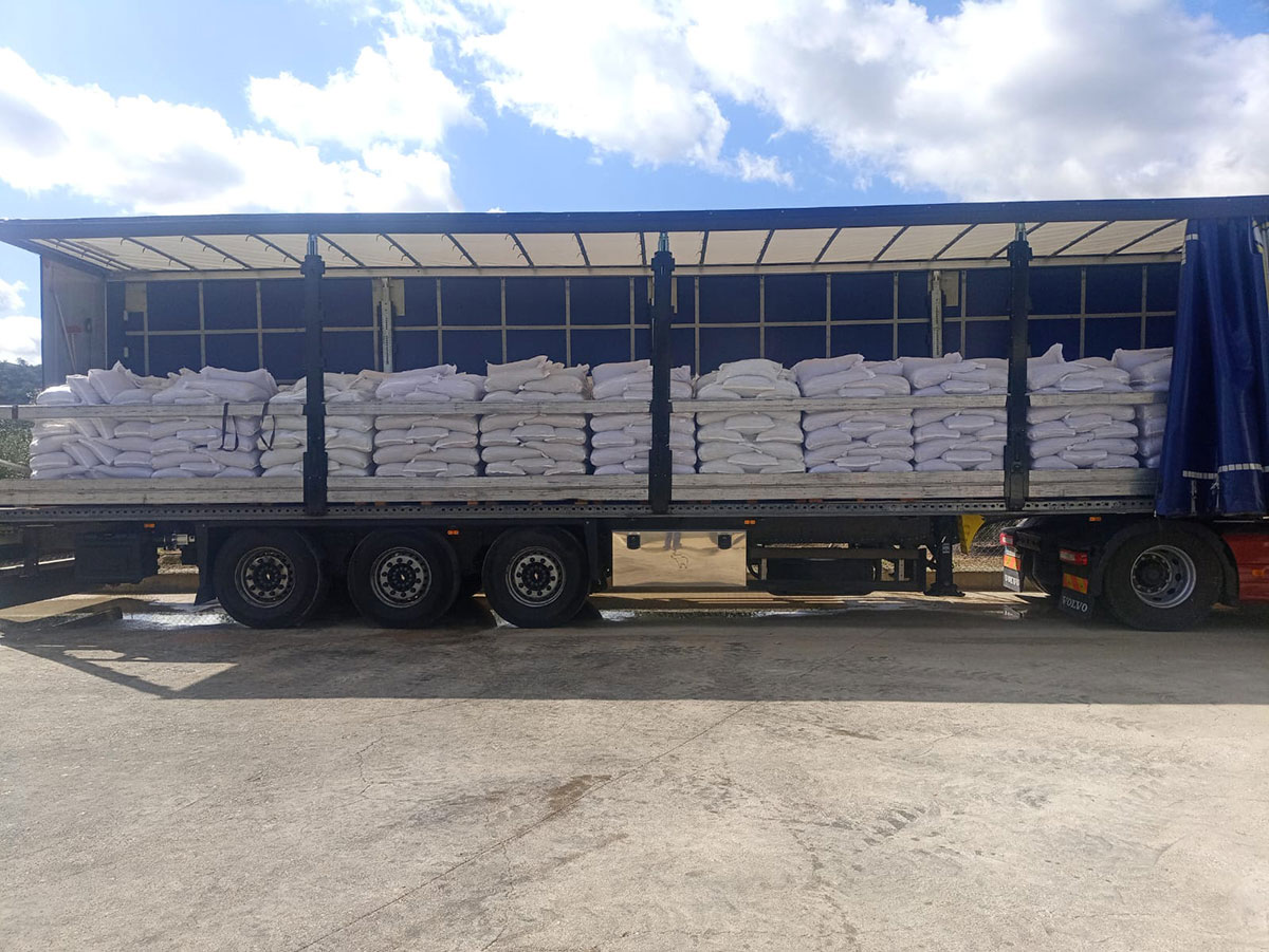 Transporte de Hueso