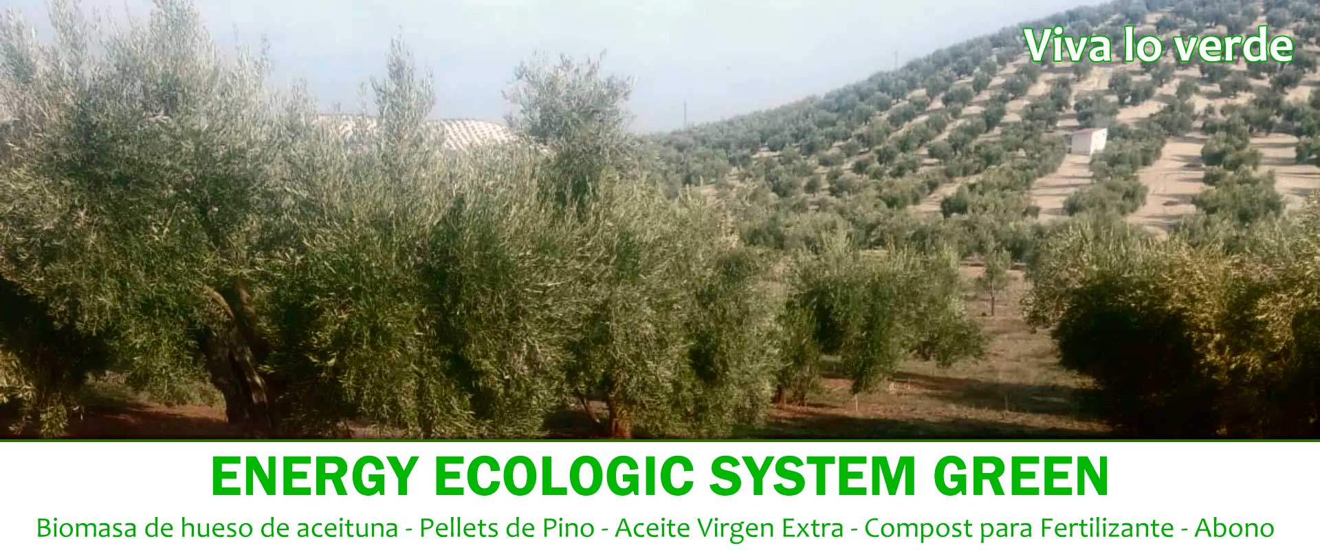 Portada Eesg 2