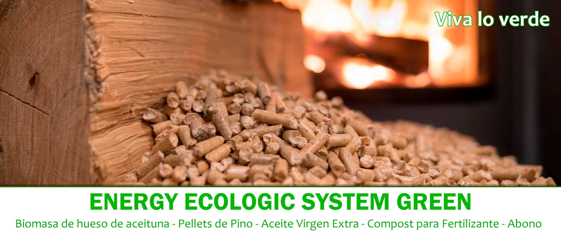 Portada Eesg 4